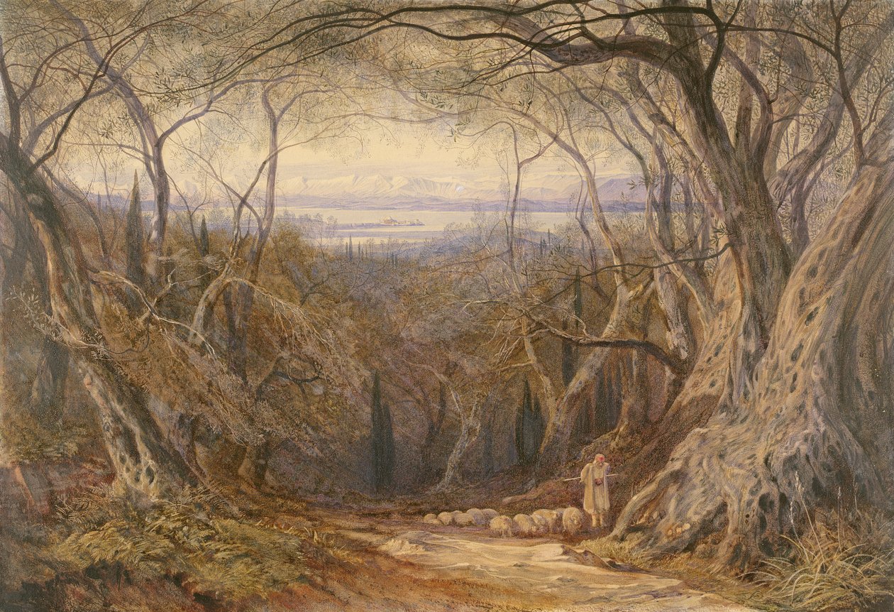 Korfu od Edward Lear