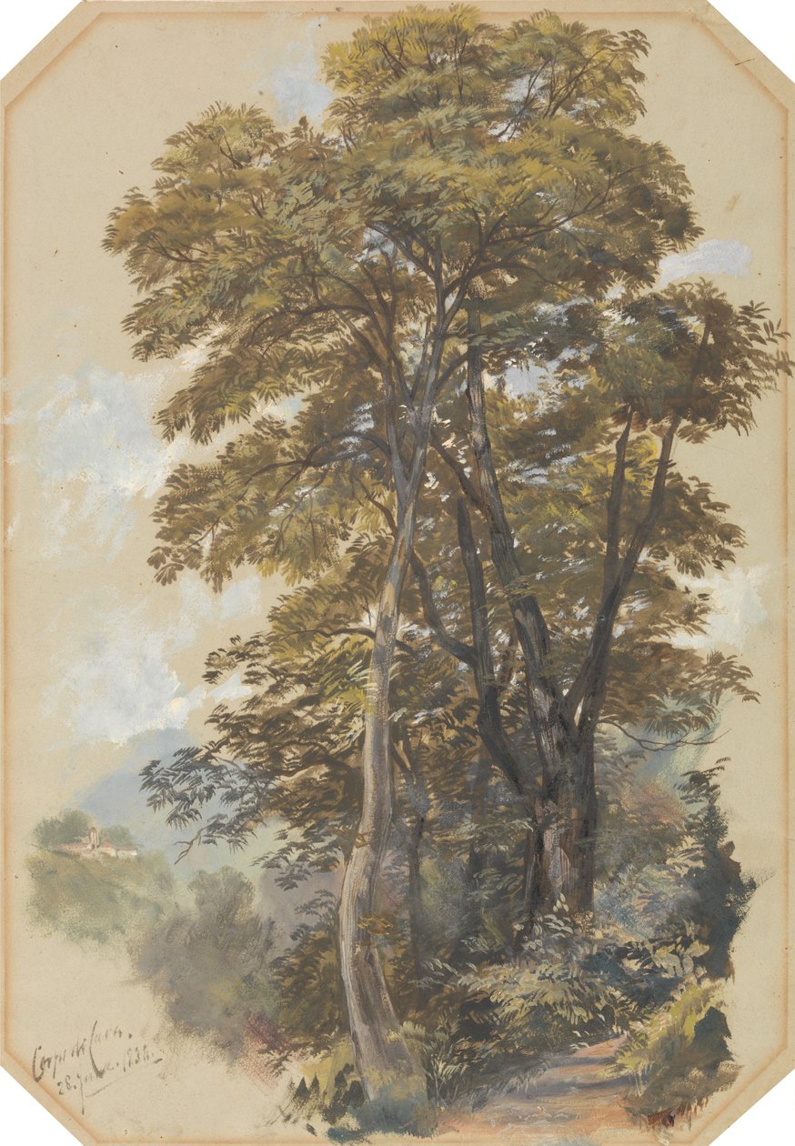 Corpo di Cava, 28. června 1838 od Edward Lear