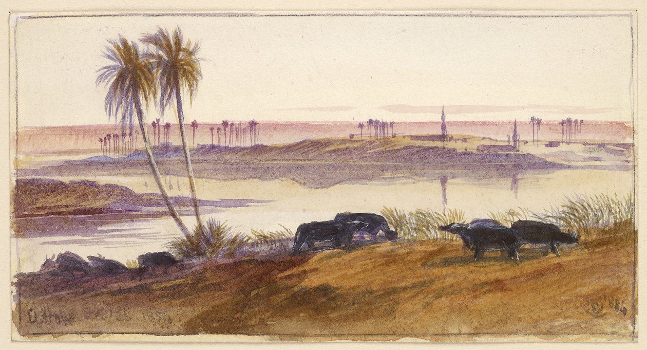El Hon, Egypt, 1884 (akvarel a pero a inkoust s tělovou barvou) od Edward Lear