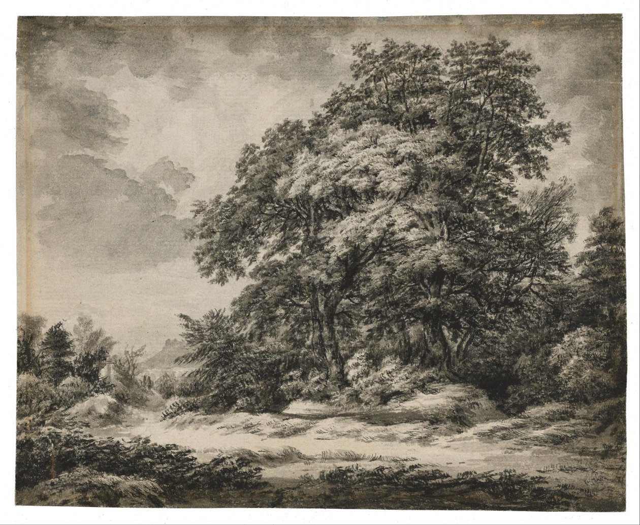Lesní krajina od Edward Lear