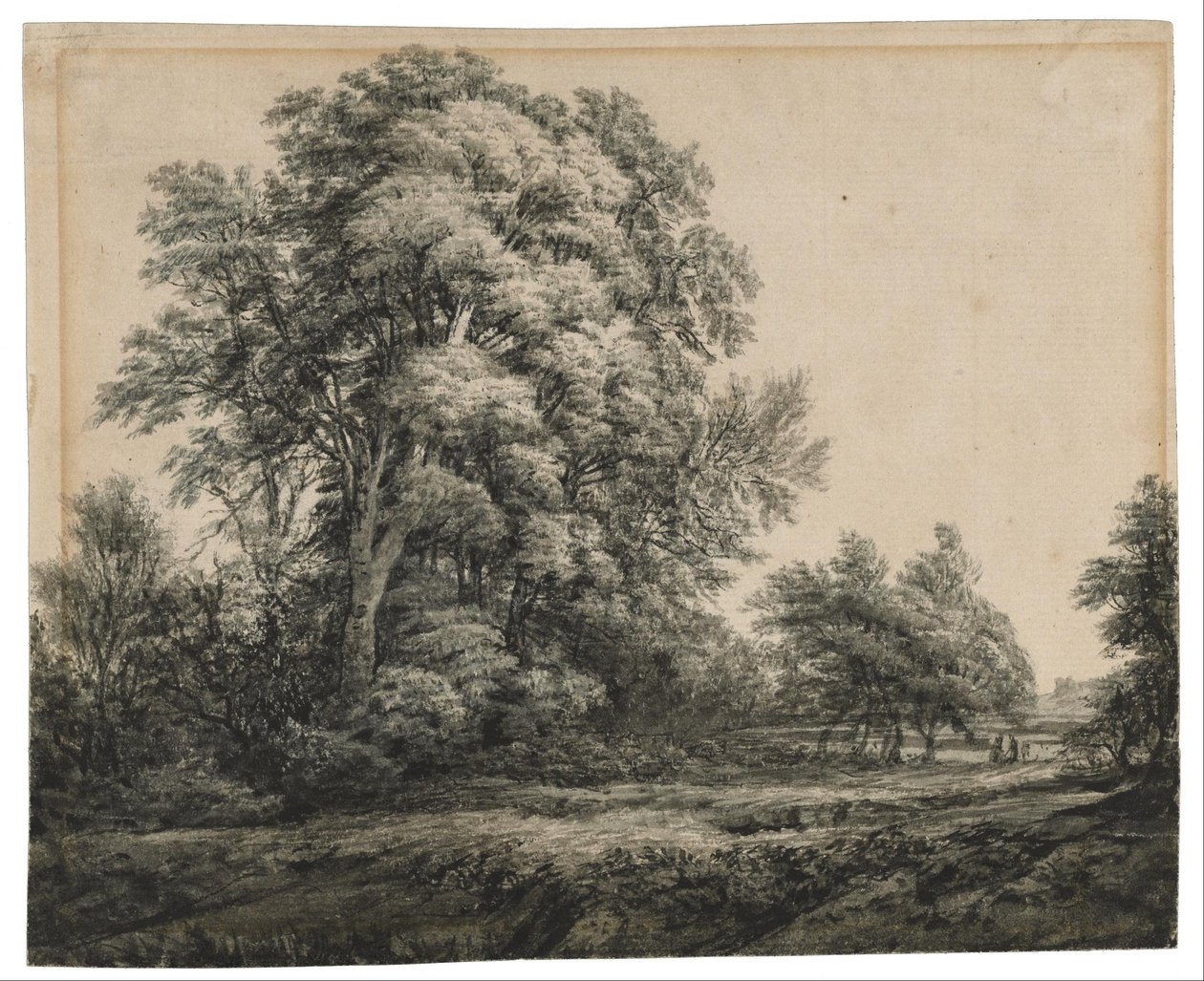 Lesní krajina od Edward Lear