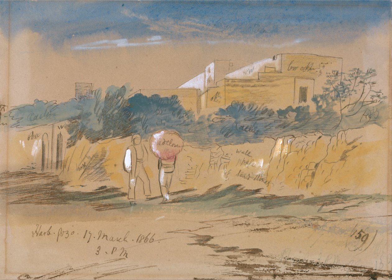 Harb. Gozo od Edward Lear