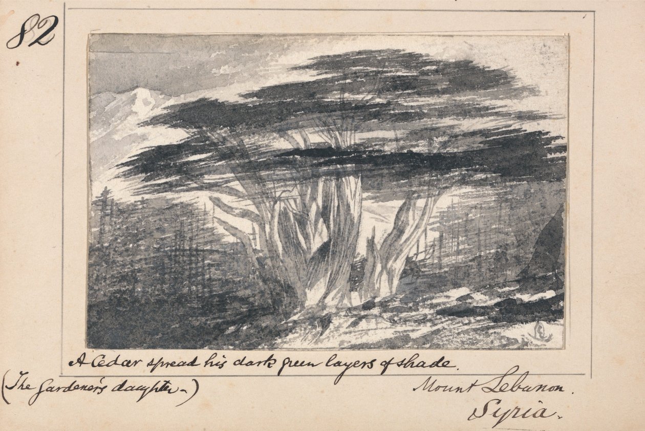 Ilustrace k Tennysonově básni „Zahradníkova dcera“: Pohoří Libanon, Sýrie – „Cedr rozprostíral své tmavě zelené stínové vrstvy“ od Edward Lear