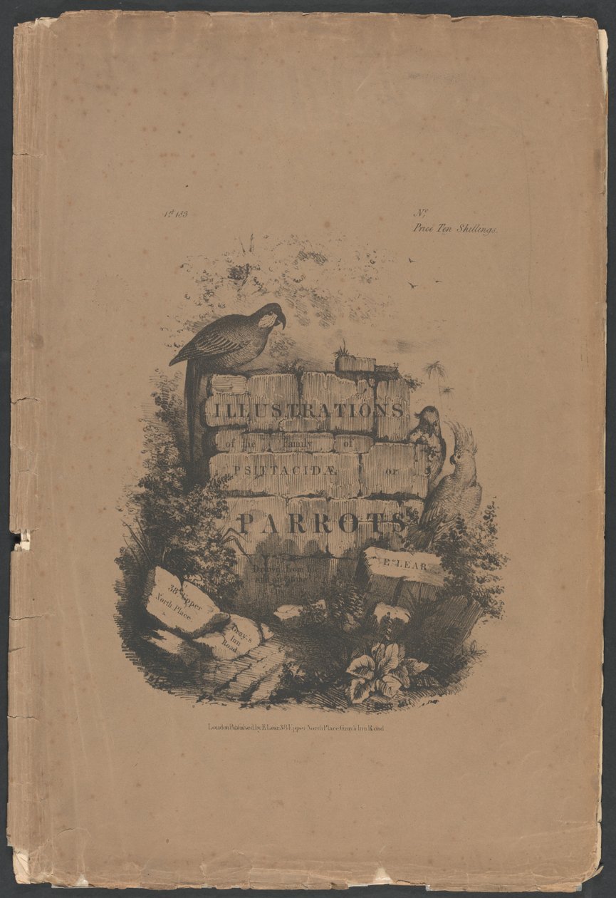 Ilustrace k čeledi Psittacidae, neboli papoušků, 1. část: obálka ve formátu folio, titulní strana, věnovací strana, strana pro předplatitele od Edward Lear