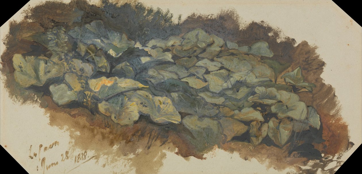 Lom od Edward Lear