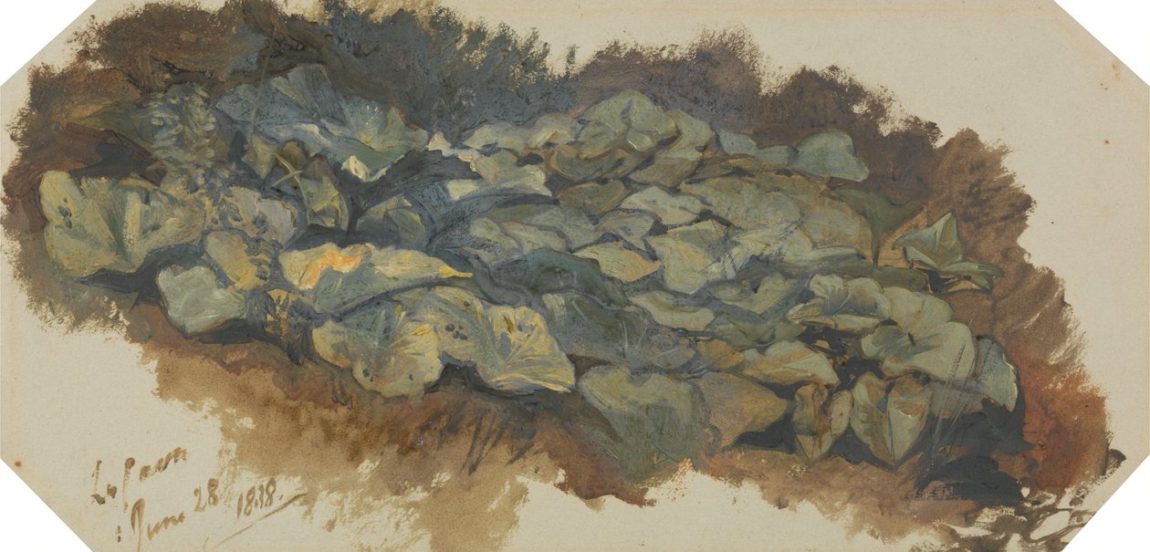 La Cava od Edward Lear
