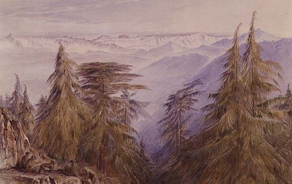 Opice na útesu poblíž Simla, severní Indie od Edward Lear