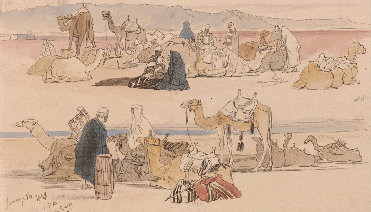 Nedaleko Suezu od Edward Lear