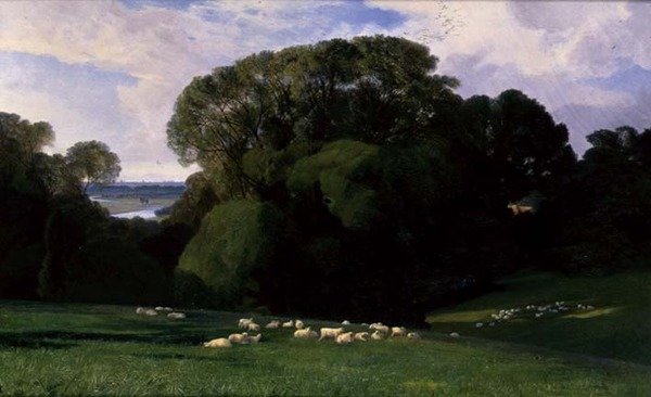 Nuneham od Edward Lear