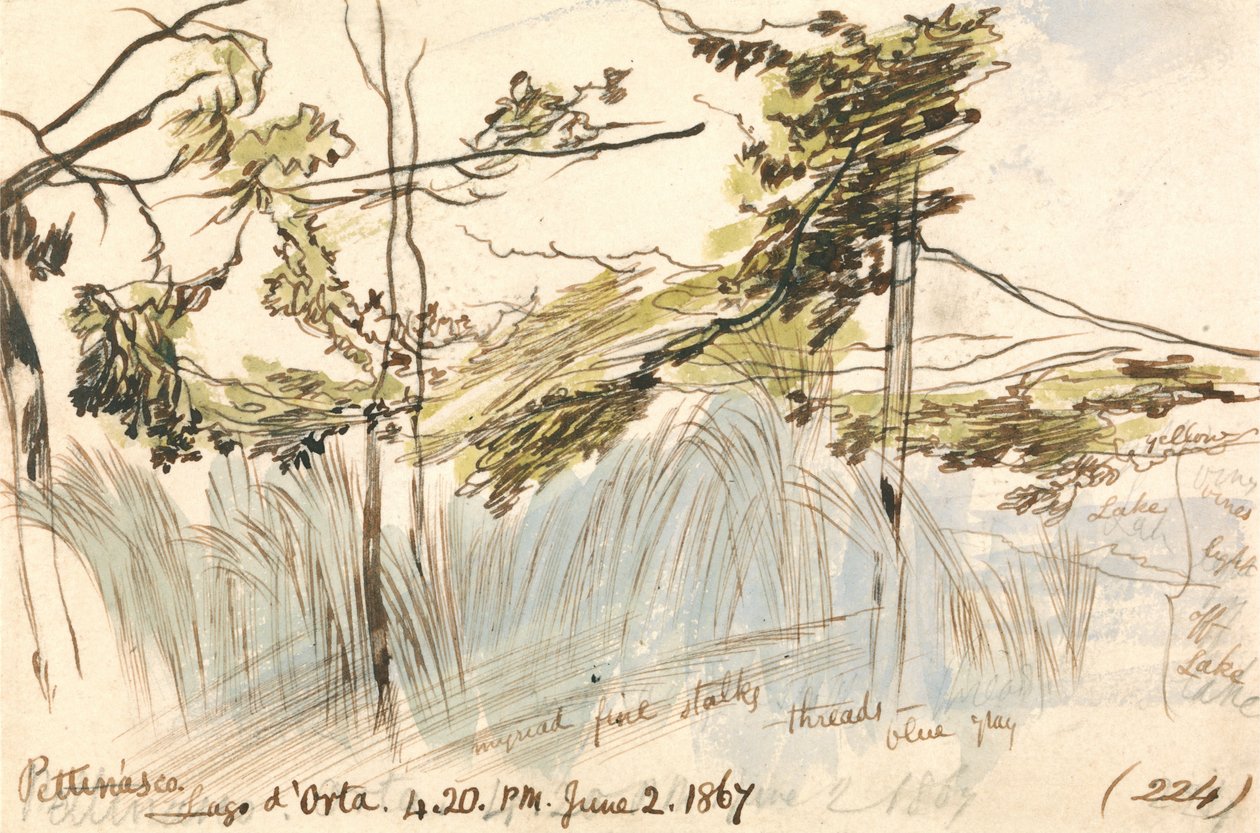 Pettenasco, jezero Orta, 16:20, 2. června 1867 (224) od Edward Lear