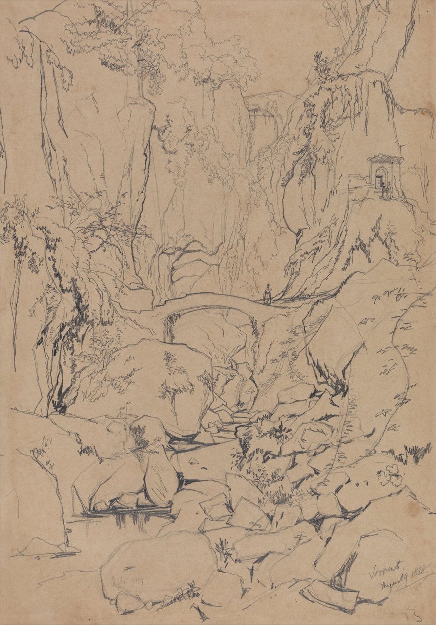 Sorrento od Edward Lear
