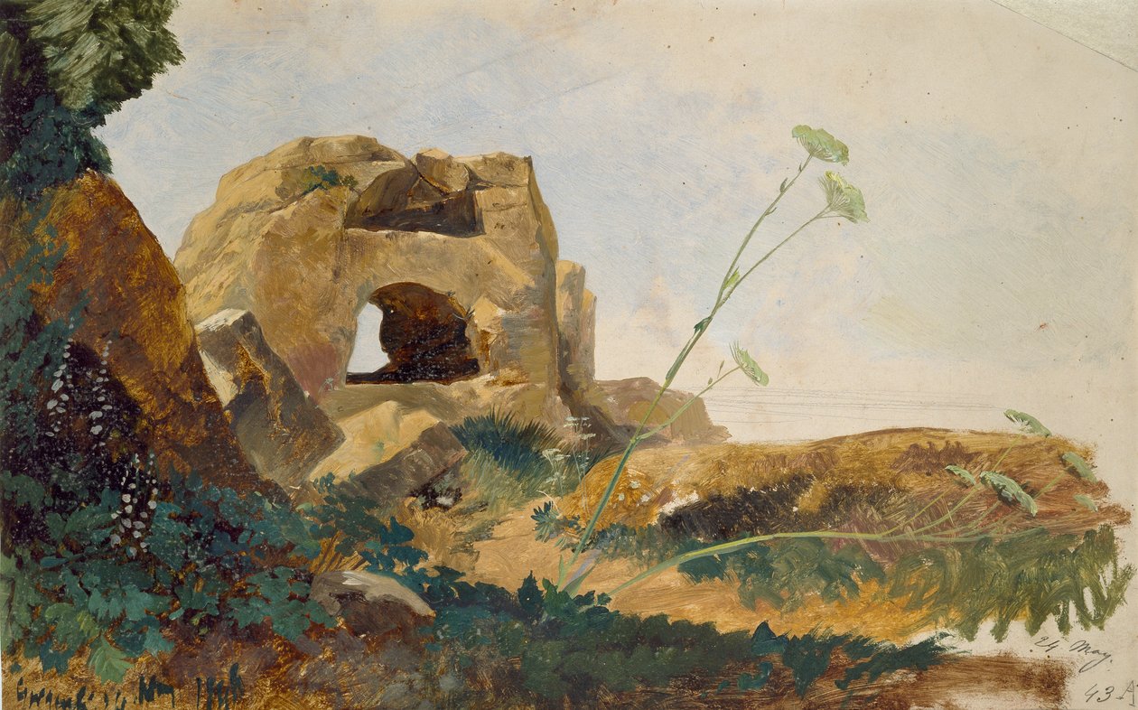 Studium hornin a listí, Agrigento Girgenti, Sicílie, 1847 od Edward Lear