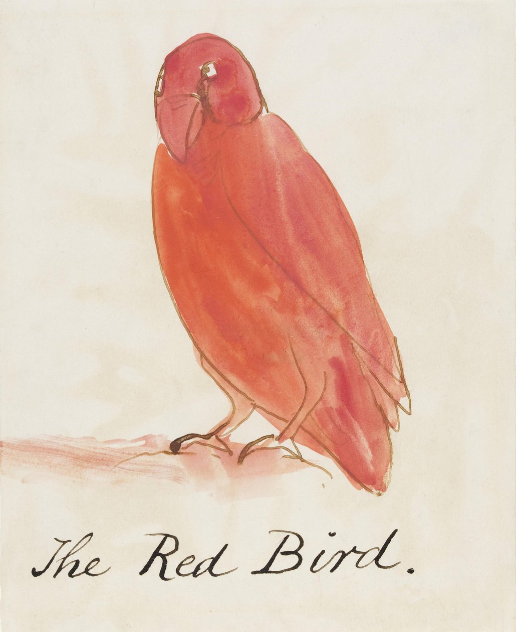 The Red Bird, from Sixteen Drawings of Comic Birds (pero a inkoust wc na papíře) od Edward Lear
