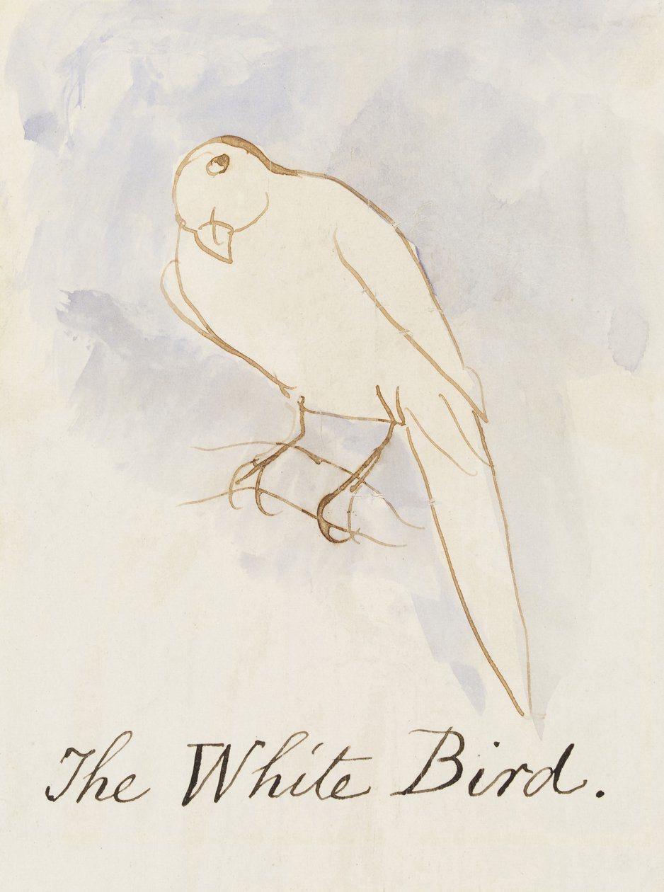 The White Bird, from Sixteen Drawings of Comic Birds (pero a inkoust wc na papíře) od Edward Lear
