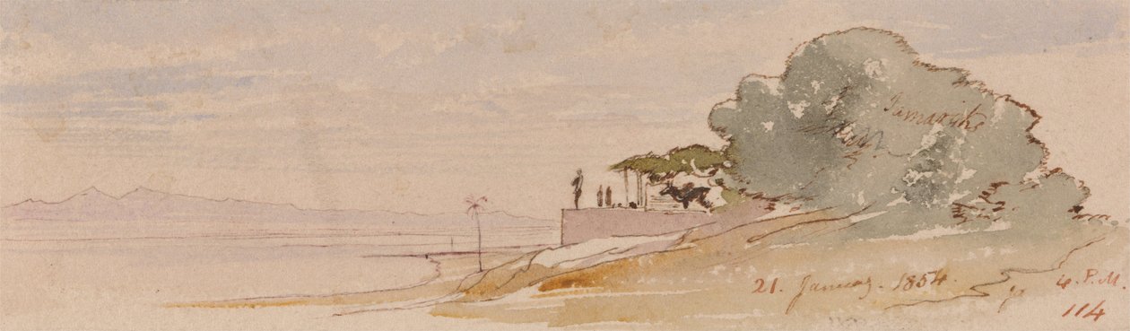 Théby od Edward Lear