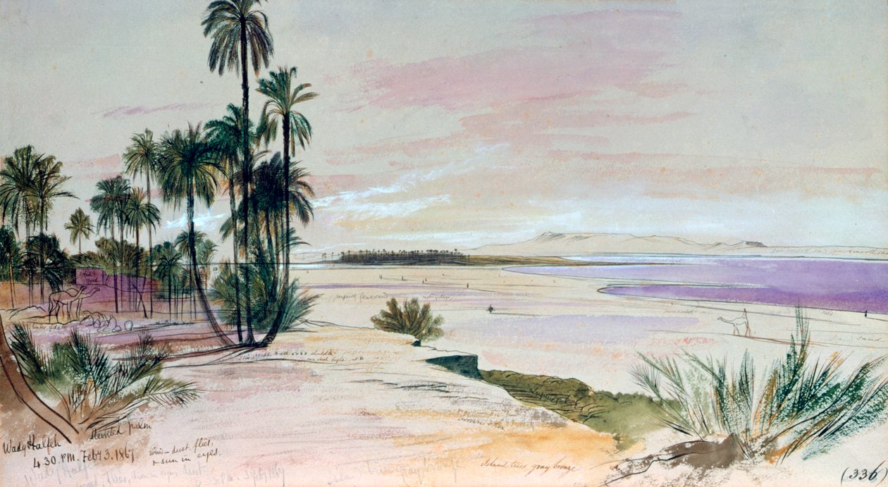Wadi Halfa, přehlídka únor 1867 od Edward Lear