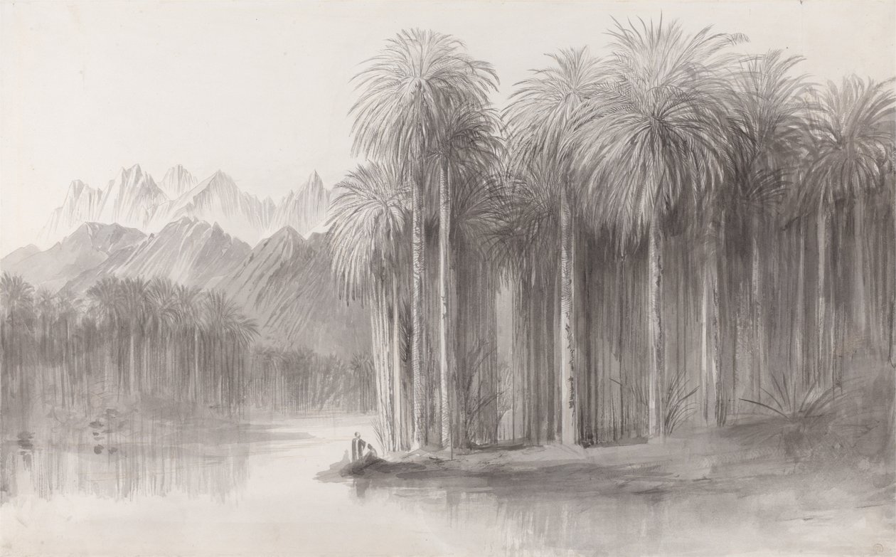 Wádí Fejrán, poloostrov hory Sinaj od Edward Lear