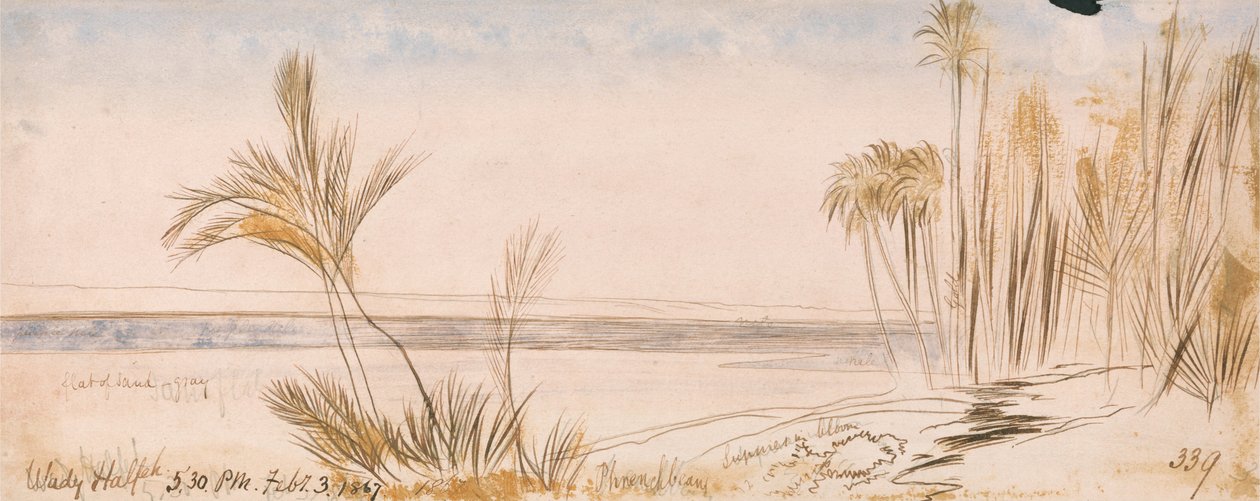 Nevýhody Halfeh od Edward Lear
