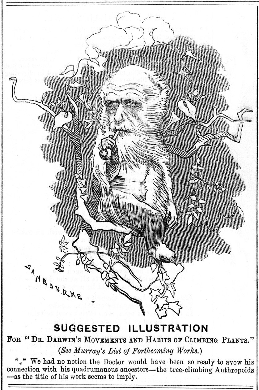 Charles Darwin, anglický přírodovědec, 1875 od Edward Linley Sambourne