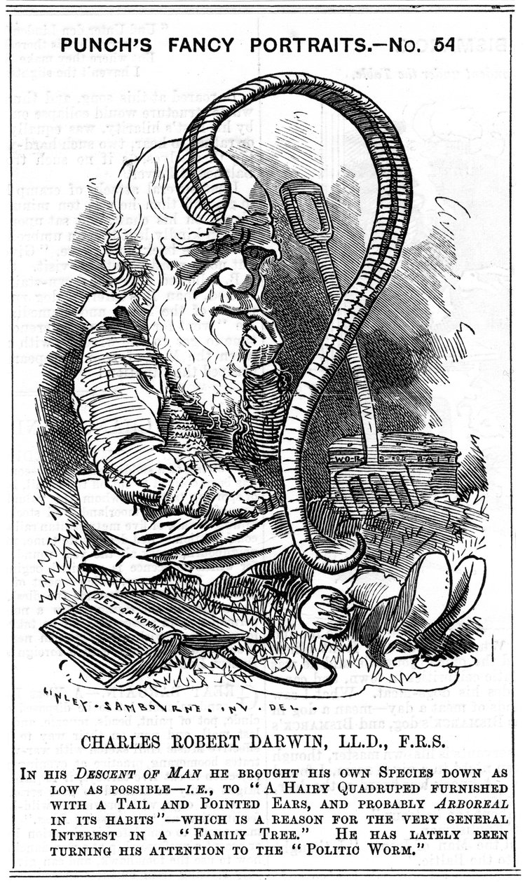 Charles Darwin, anglický přírodovědec, 1881 od Edward Linley Sambourne