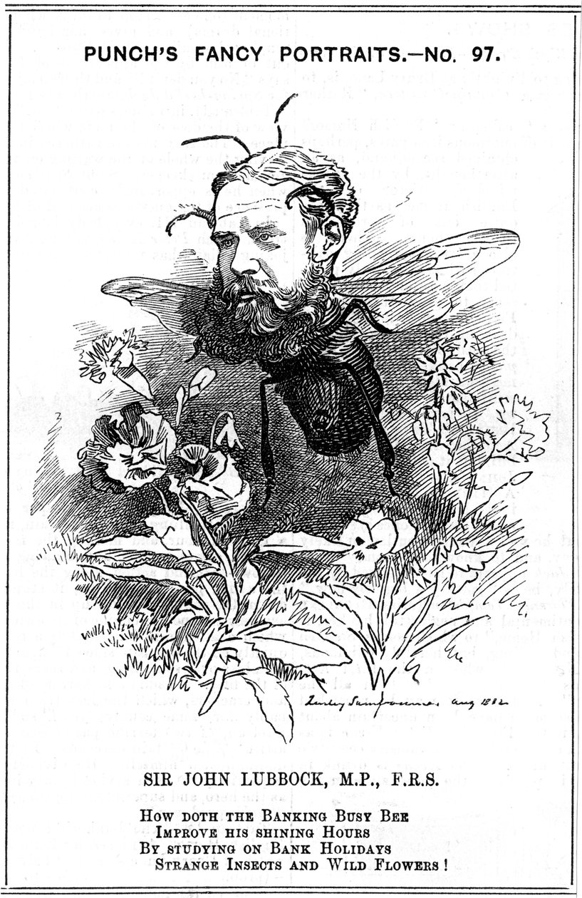 John Lubbock, první baron Avebury, anglický bankéř, archeolog, přírodovědec a politik, 1882 od Edward Linley Sambourne