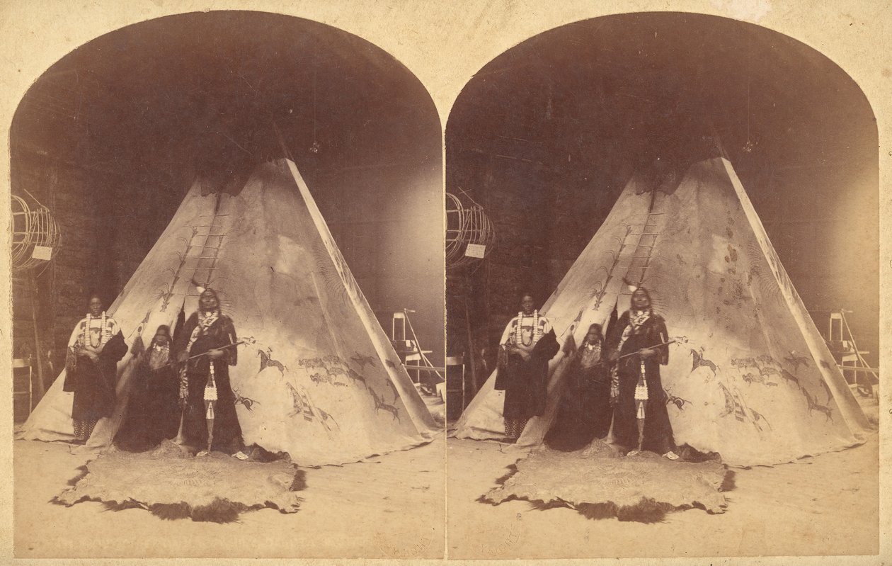 [Skupina 18 stereografických pohledů na 18841885 New Orleans Centennial Internationa..., 1850-1910. od Edward Livingston Wilson