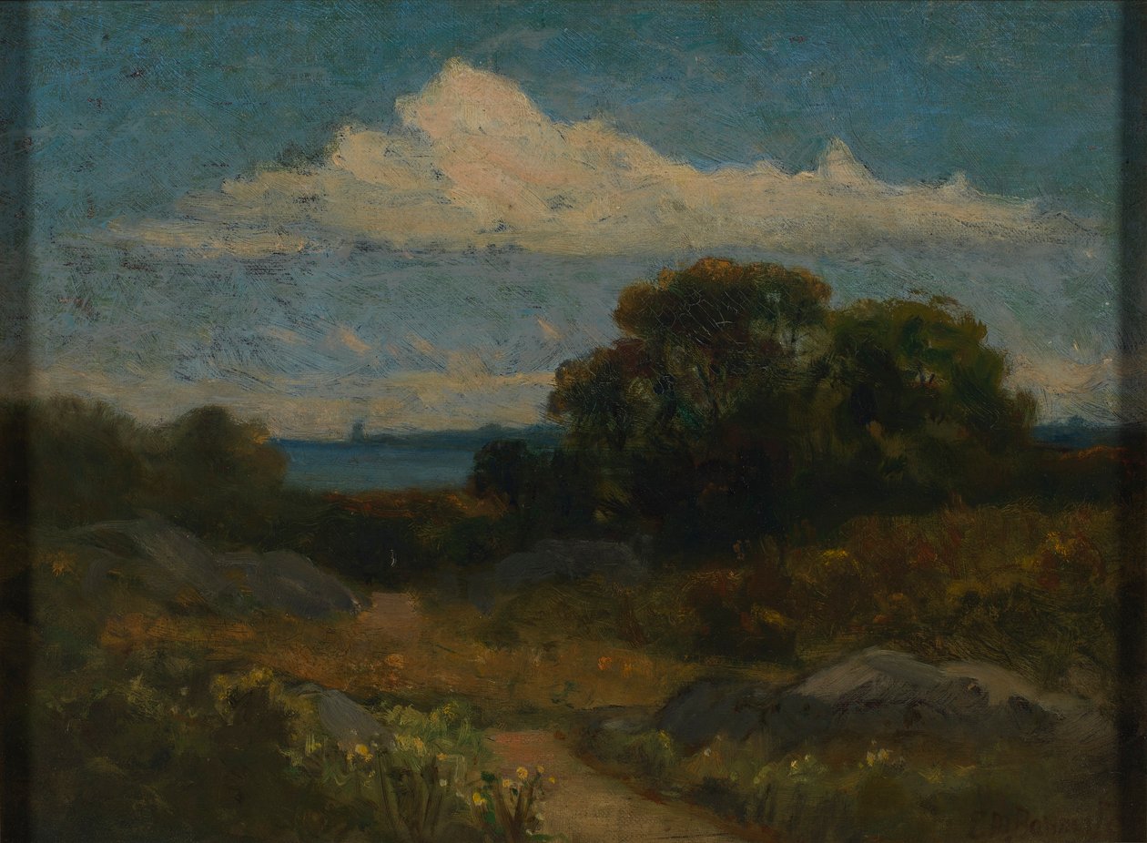 Krajina (stromy a skály u jezera) od Edward Mitchell Bannister