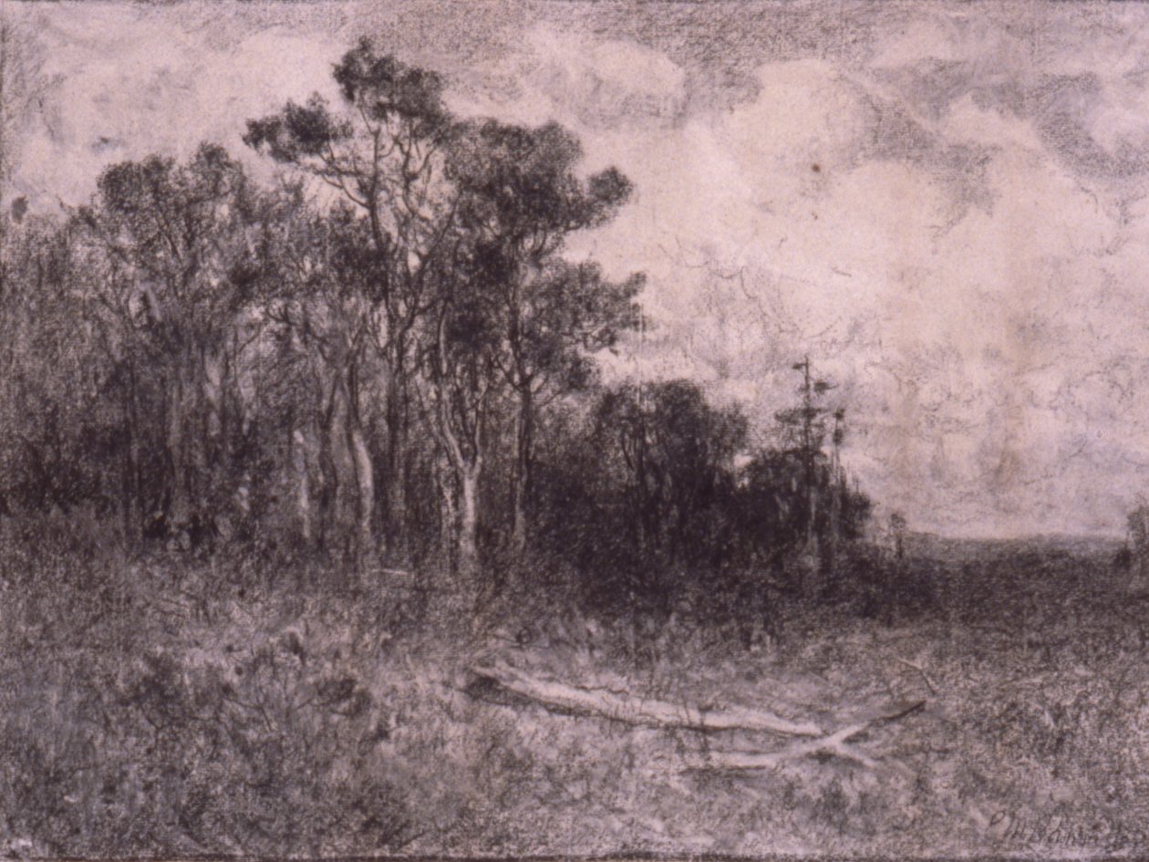 Krajina, lesní scéna od Edward Mitchell Bannister