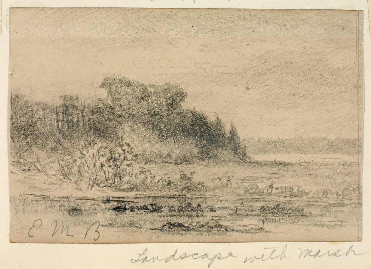 Krajina s bažinou od Edward Mitchell Bannister