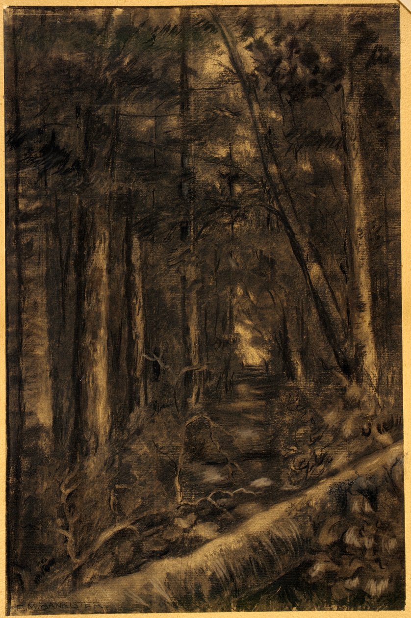 Krajina s cestou přes les od Edward Mitchell Bannister