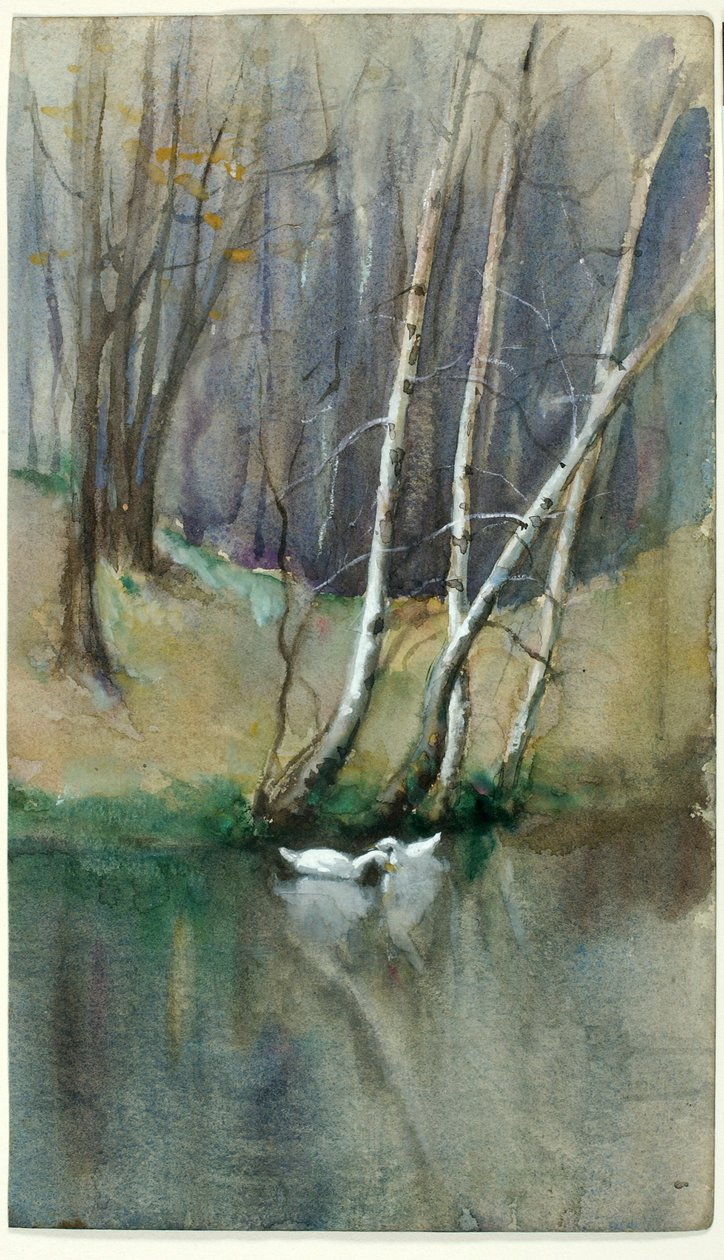 Bez názvu (Lesní scéna s břízami a kachnami) od Edward Mitchell Bannister