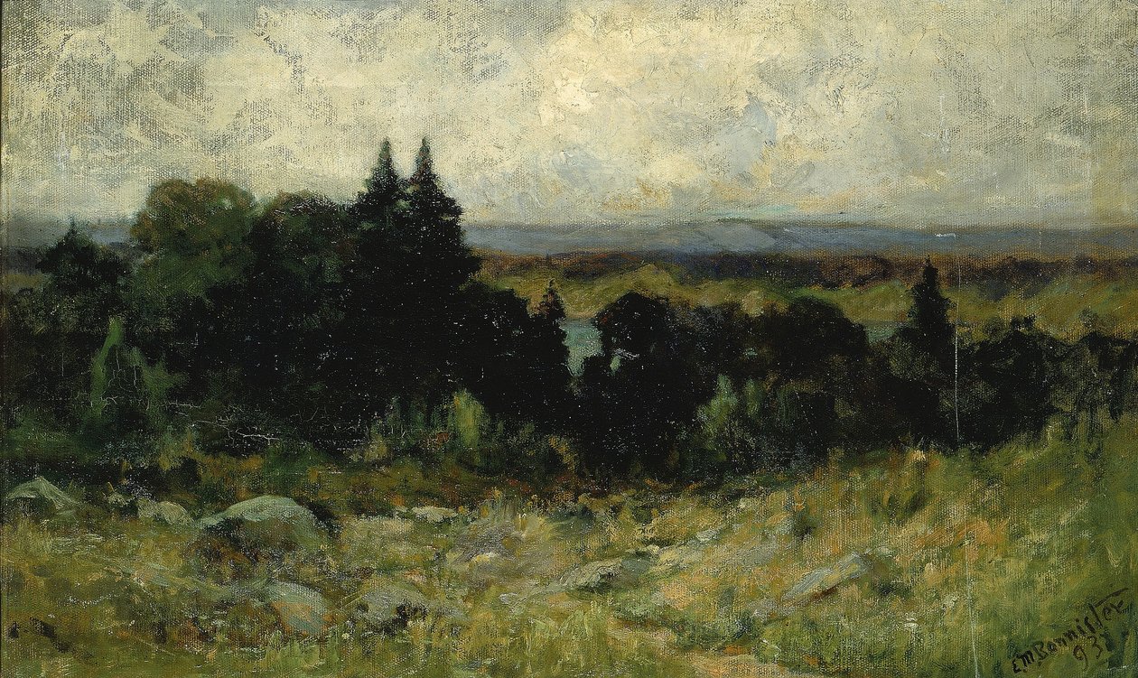 Bez názvu (krajina, pole se skalami a stromy) od Edward Mitchell Bannister