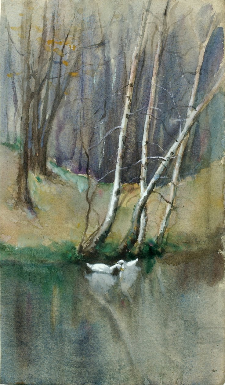 Bez názvu Dřevěná scéna s břízami a kachnami, n. d. od Edward Mitchell Bannister
