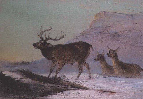 Zima (pastel) od Edward Robert Smythe
