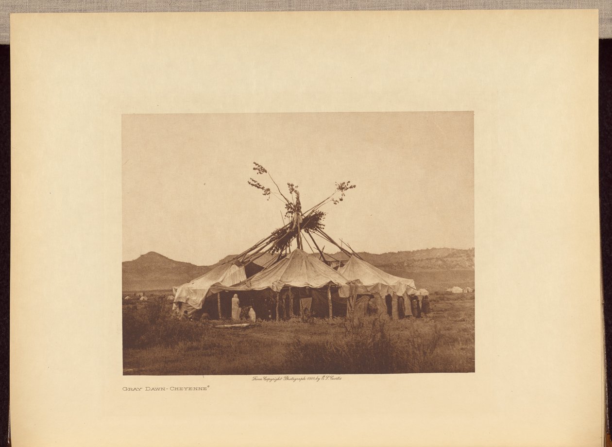 Gray Dawn - Cheyenne od Edward S. Curtis