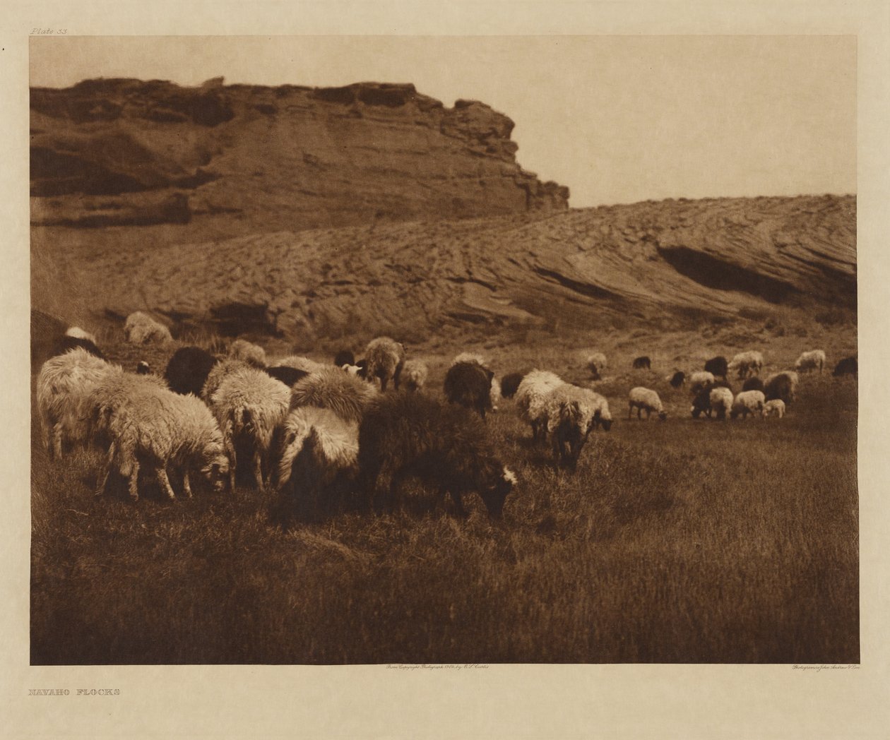 [Stáda Navahů] od Edward S. Curtis
