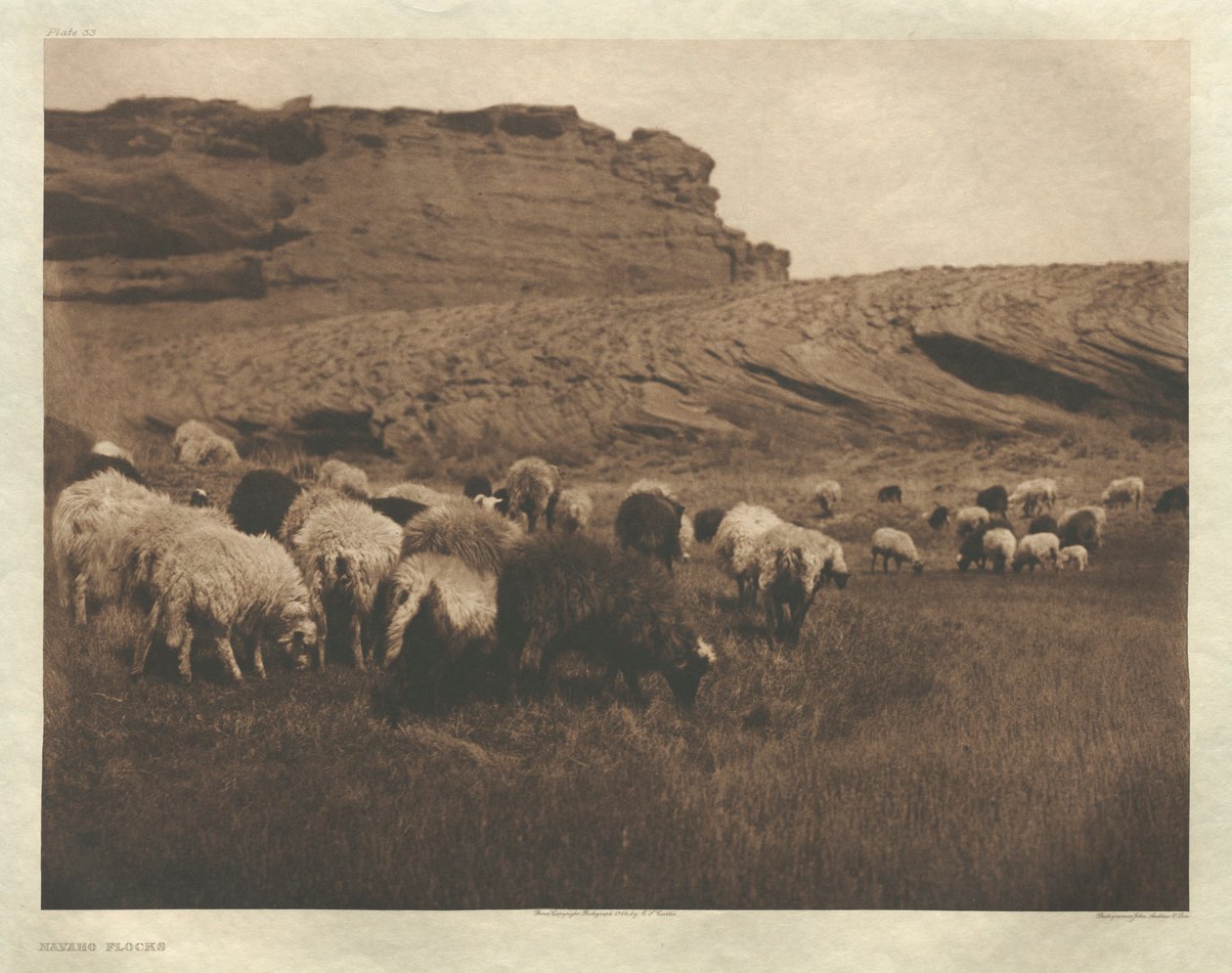 Portfolio I, deska 33: Navaho Flocks od Edward S. Curtis