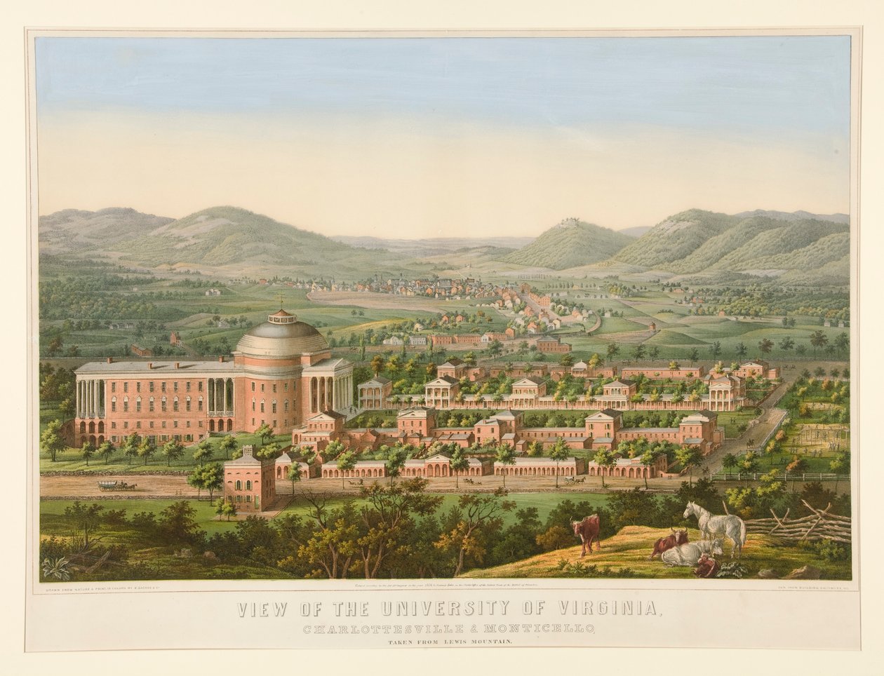 Pohled na University of Virginia od Edward Sachse