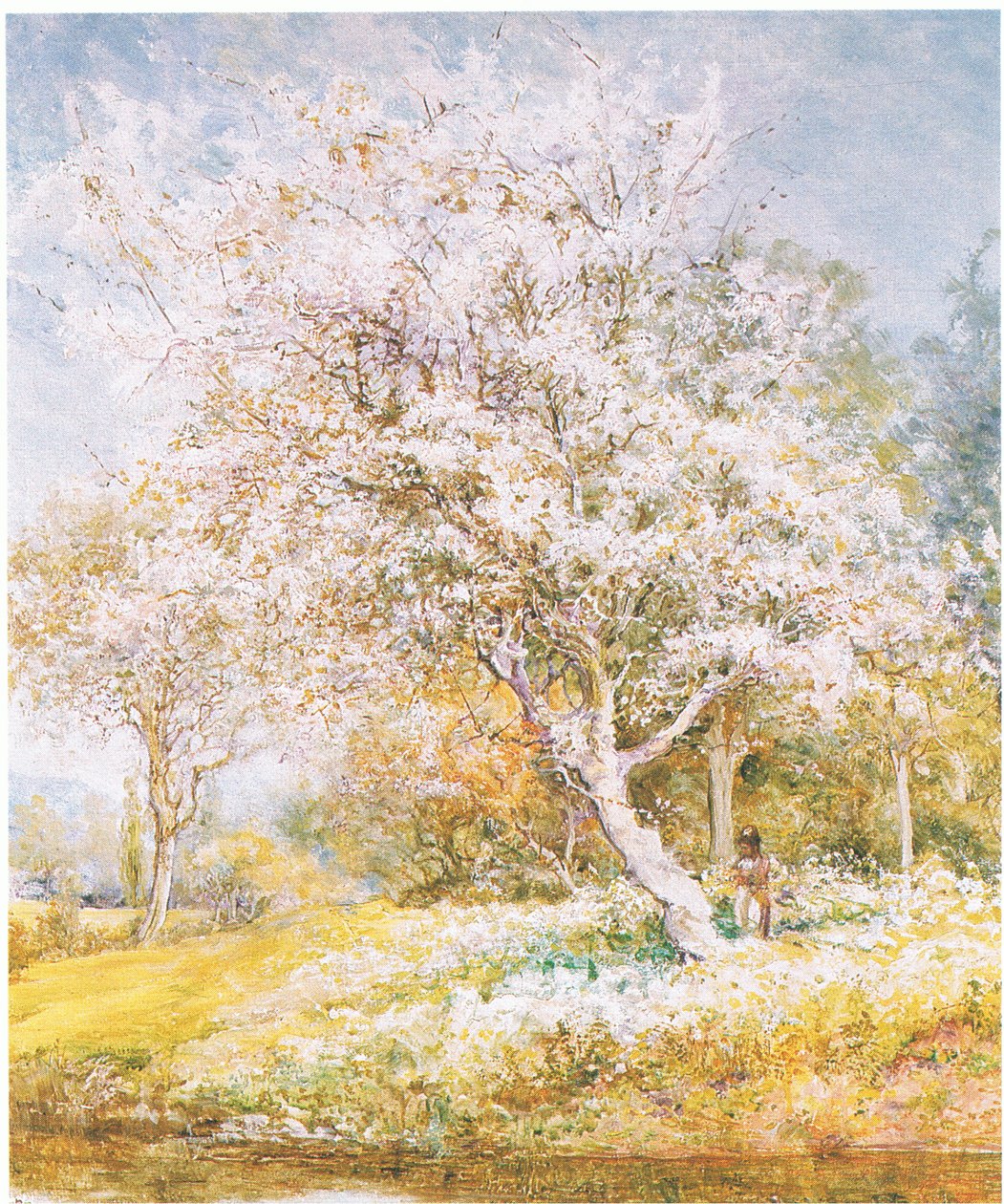 Sbírání květin, z časopisu nebo knižního zdroje neznámý (barva litho) od Edward Samuel Harper