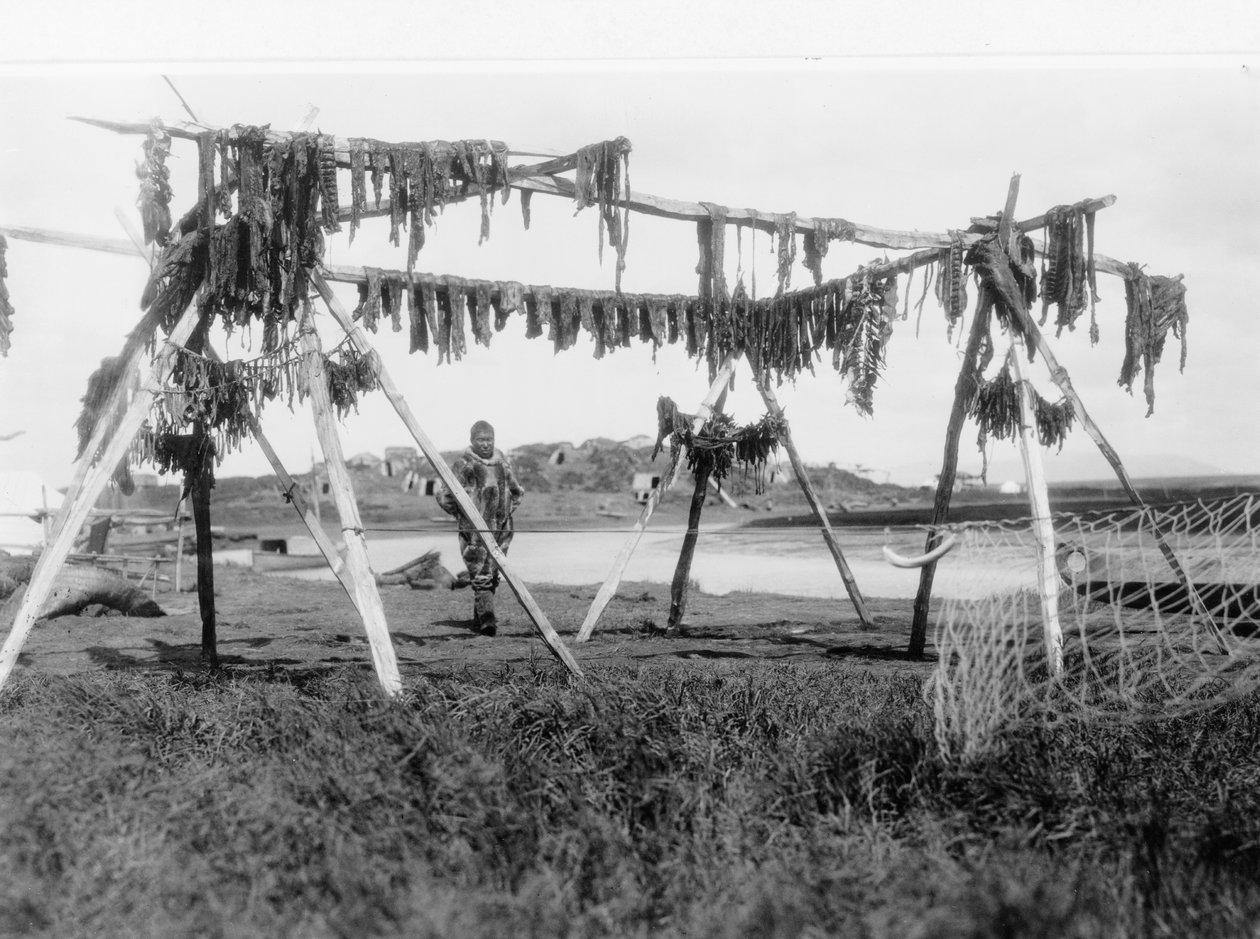 Eskymák stojící pod konstrukcí s velrybím masem zavěšeným na sucho, kolem roku 1929 (černobílá fotografie) od Edward Sheriff Curtis