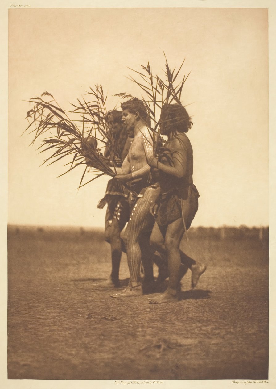 Medicínský obřad Arikara – kachny, 1908. od Edward Sheriff Curtis