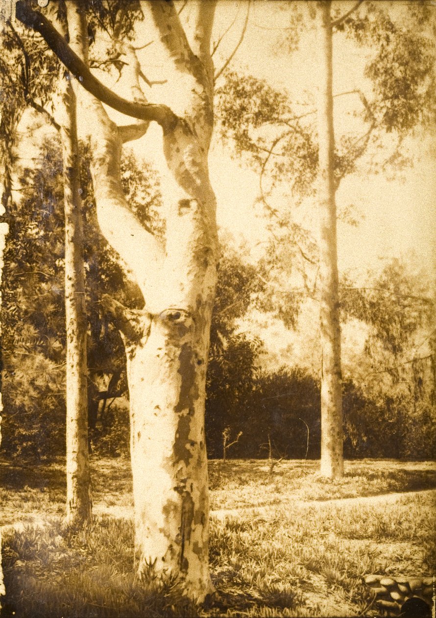 Auf dem Bauernhof, Seattle, Washington od Edward Sheriff Curtis