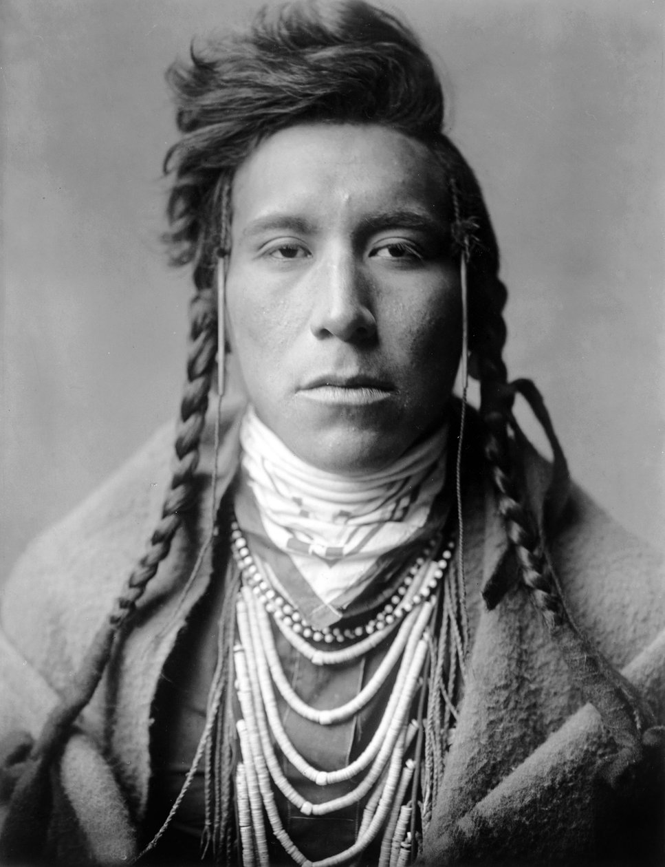 Bird on High Land, Crow indian, Montana, USA, c. 1908, foto Edward S. Curtis od Edward Sheriff Curtis
