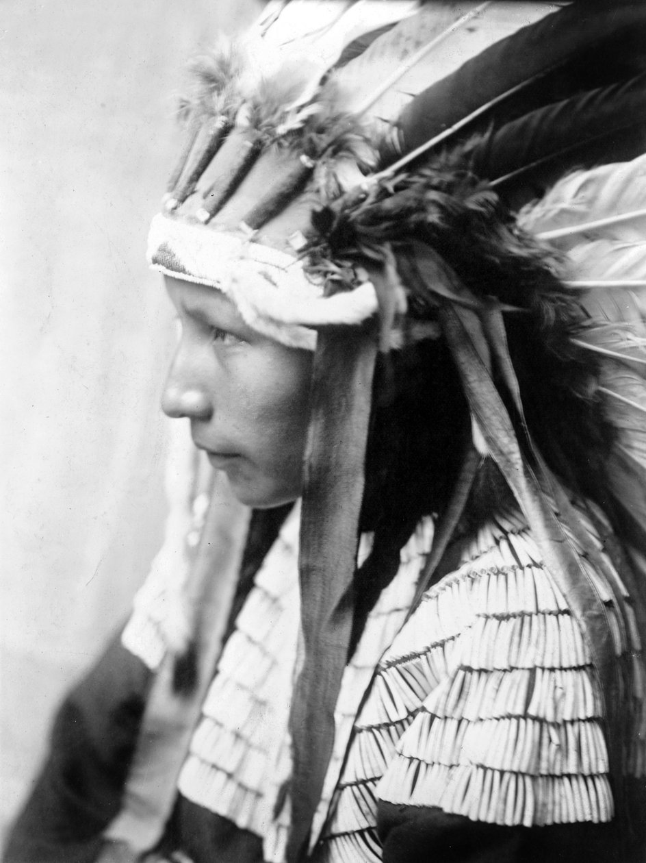 Cheyenne girl, The Daughter of Bad Horse (profil), c. 1905, foto Edward S. Curtis od Edward Sheriff Curtis