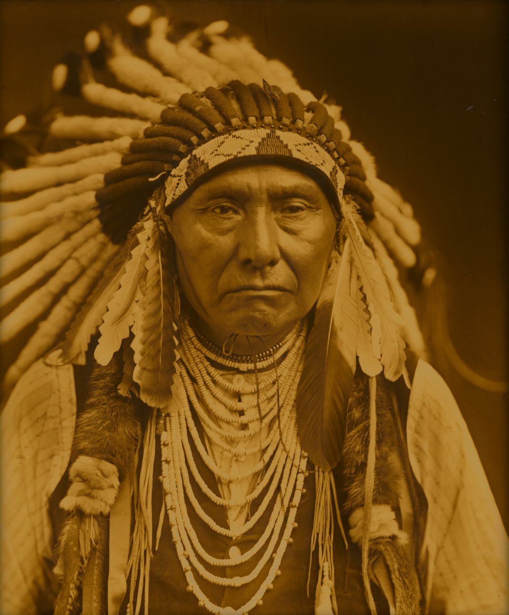 Náčelník Joseph od Edward Sheriff Curtis