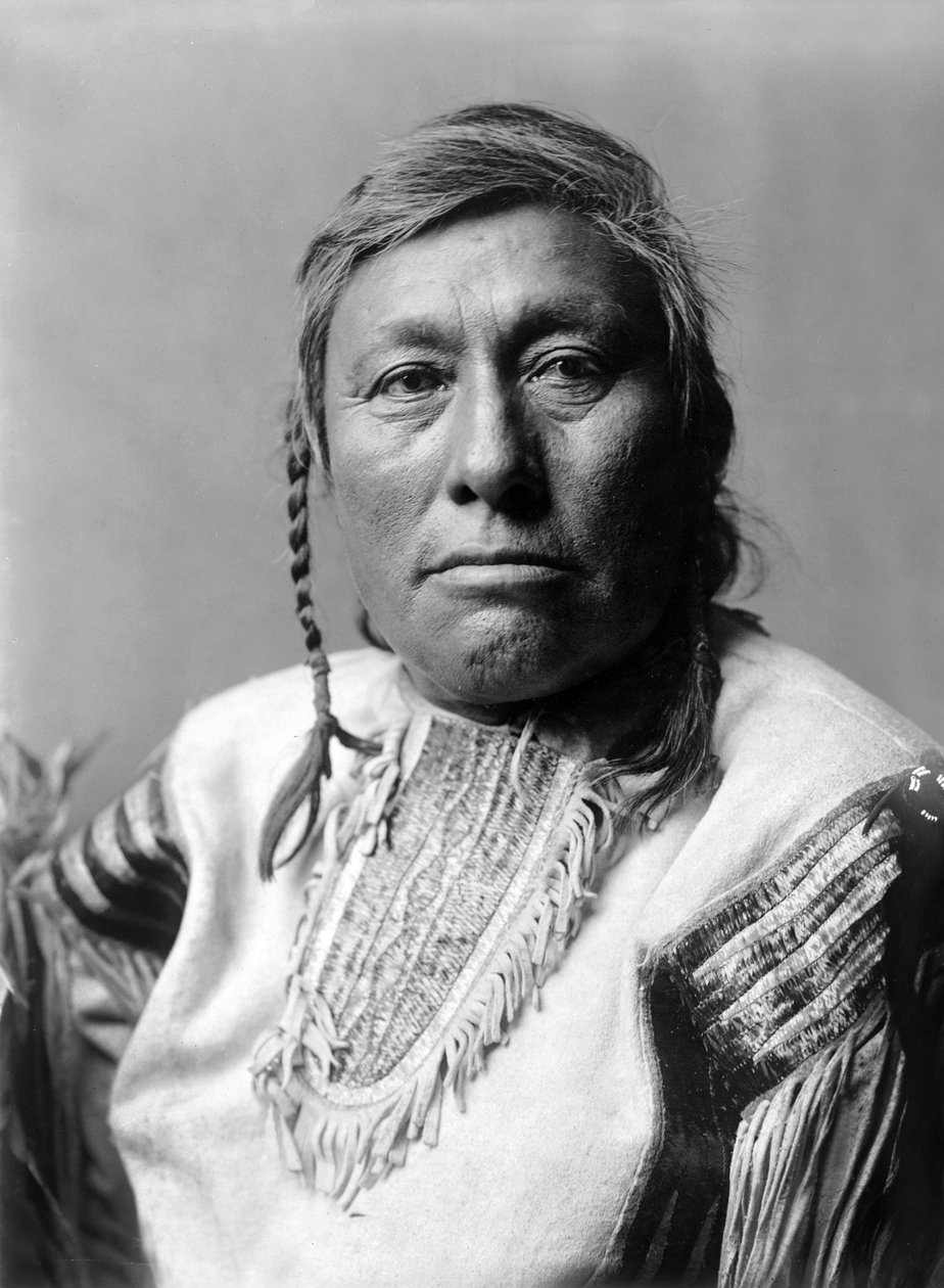 Dlouhý pes, indický, c. 1908, foto Edward S. Curtis od Edward Sheriff Curtis