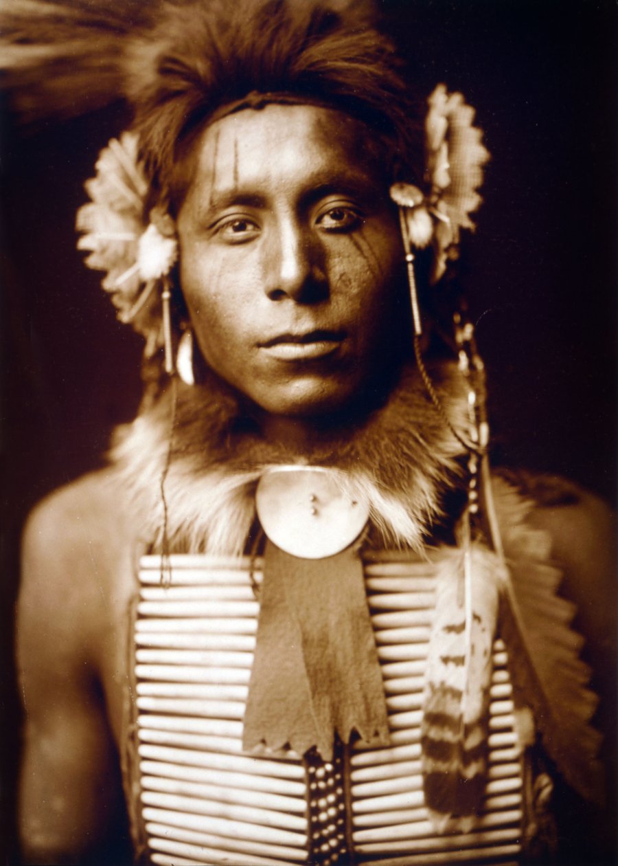 Sedící orel, Vrána, c. 1905, foto Edward S. Curtis od Edward Sheriff Curtis