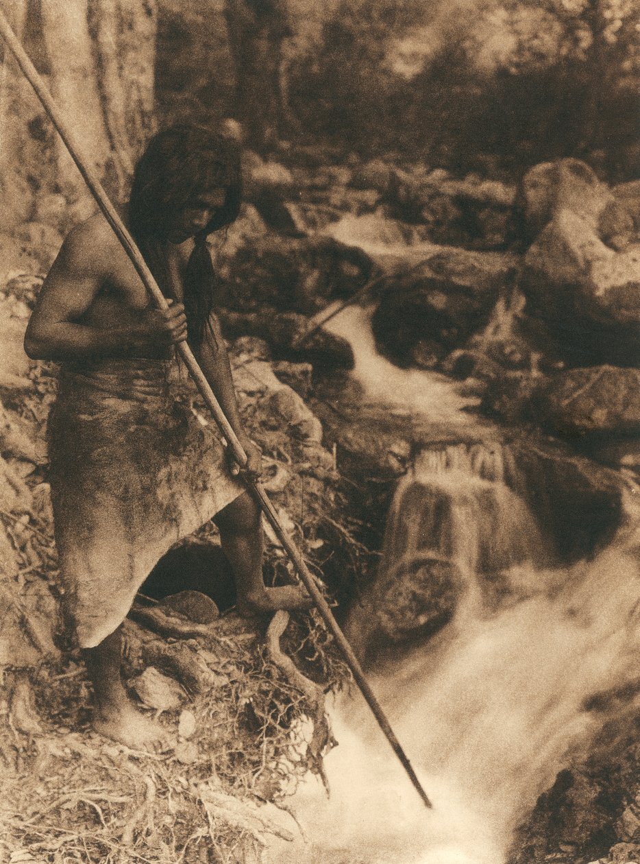 Mladý americký indián z kmene Hupa nebo vesnice lovící lososy pomocí dlouhého klacku. Kolem beder má uvázanou zvířecí kůži. Za ním les a potok od Edward Sheriff Curtis