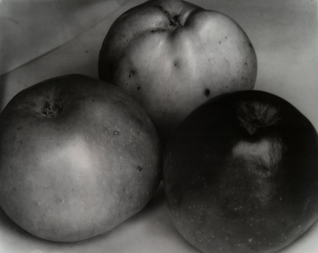 Tři jablka, Francie, ca. 1921 od Edward Steichen