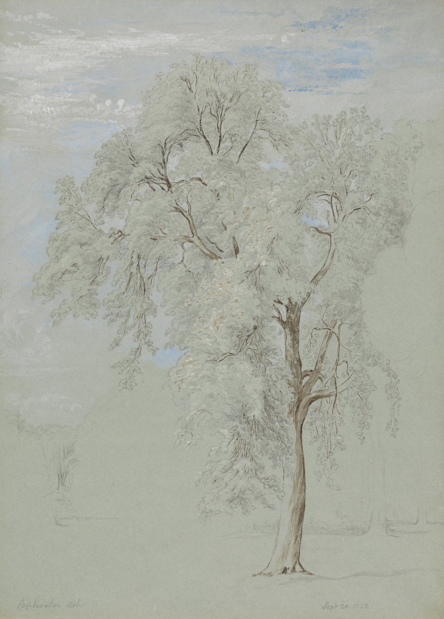 Jasan od Edward Swinburne